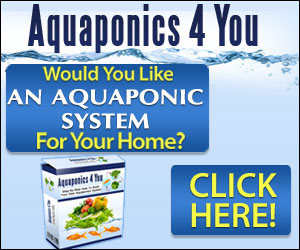 Aquaponics 4 You